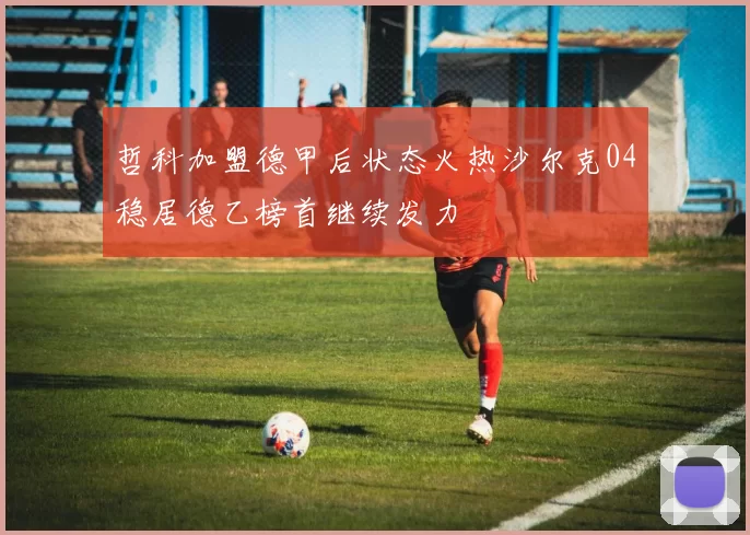 哲科加盟德甲后状态火热沙尔克04稳居德乙榜首继续发力